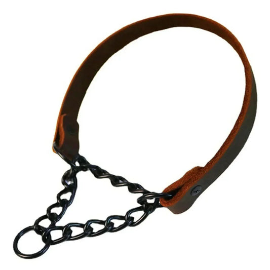No Pull Leather Martingale Dog Collar
