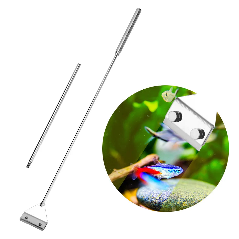 Stainless Steel Algae Scraper | Dual-Purpose