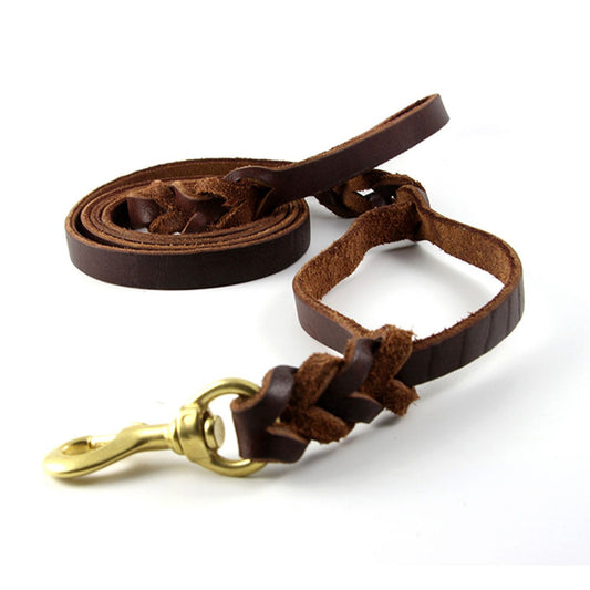Braided Leather Dog Leash with Handles