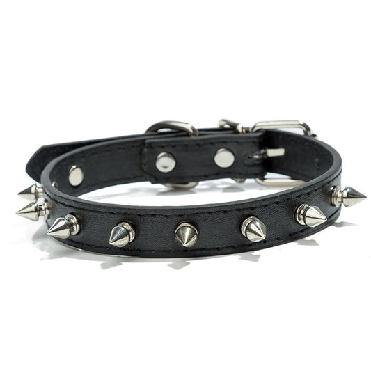 Studded Spiked Dog Collar | Small Dogs