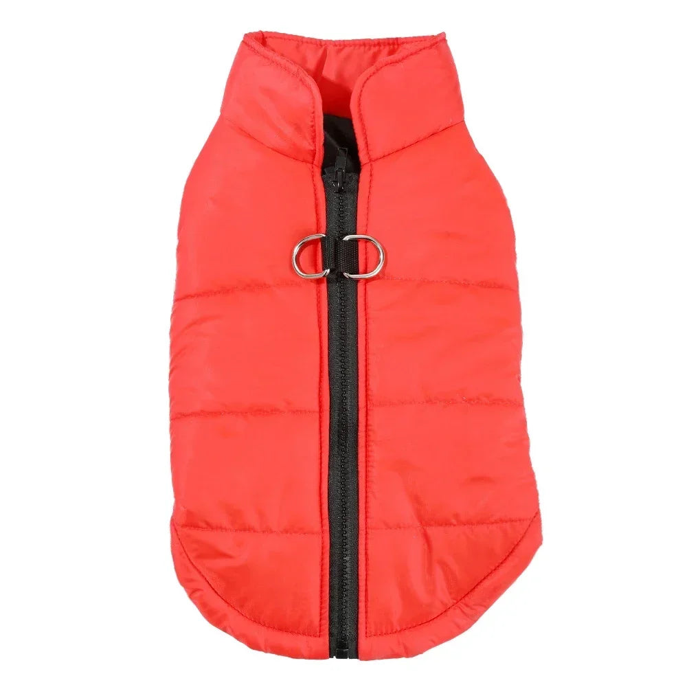 Warm Winter Dog Clothes | XS-2XL Available