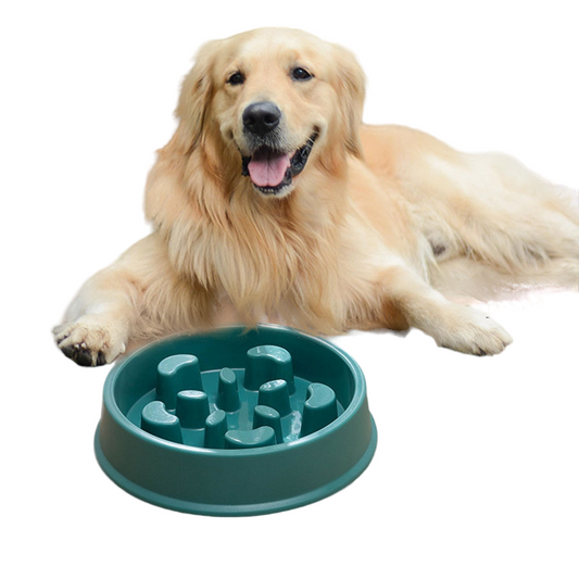 Pet Slow Feeder Bowl | Anti-Gulping Design