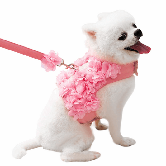 Luxury Floral Dog Harness & Leash Set