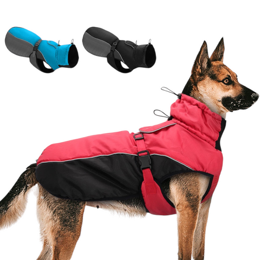 Winter Pet Jacket | Reflective & Adjustable