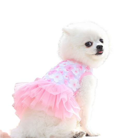 Lace Chiffon Floral Pet Dress | XS-XL