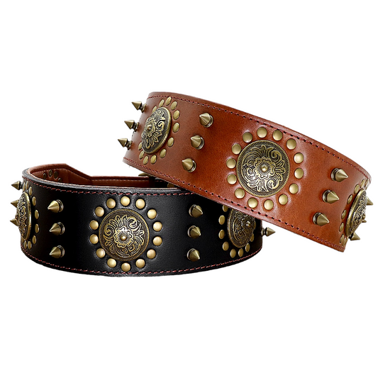 Spiked Leather Dog Collar | Adjustable
