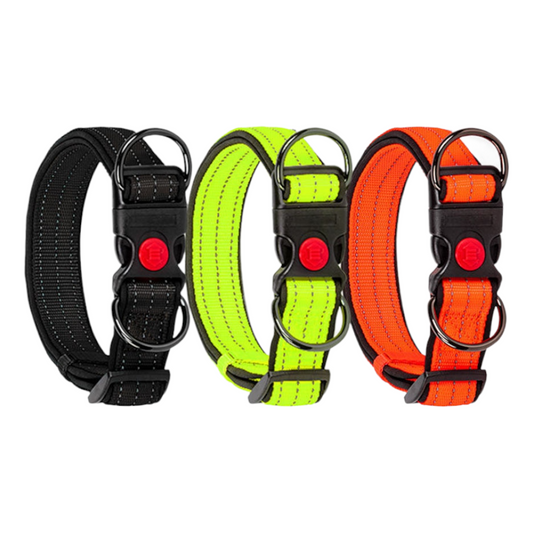 Reflective Nylon Dog Collar | Adjustable & Padded