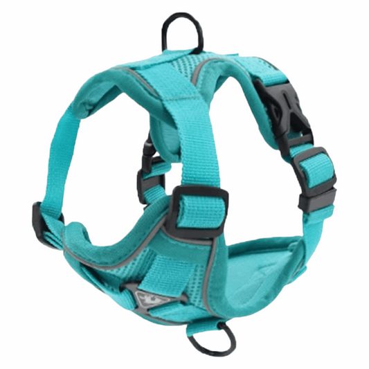 Adjustable Breathable Pet Harness | S-XL