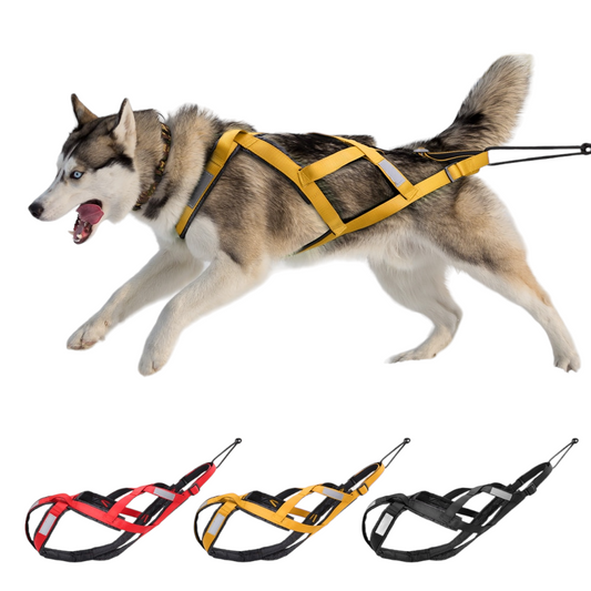 Dog Sled Harness | Heavy-Duty X Back