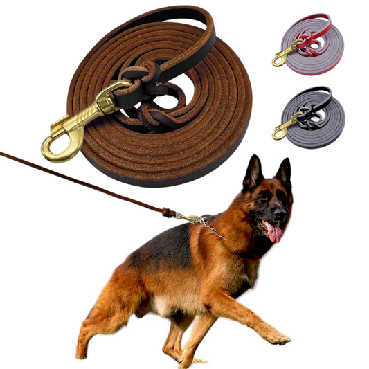 Leather Dog Leash | 1.5m - 2.5m Options